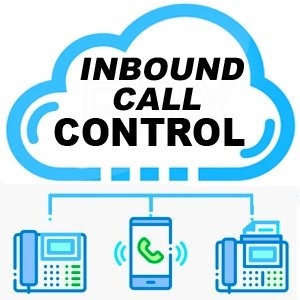 How can you give your Hosted PBX users more control over inbound calls? Ask Telinta.